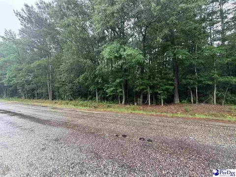 tbd Brookeside Rd, Dillon, SC 29536 photo 3