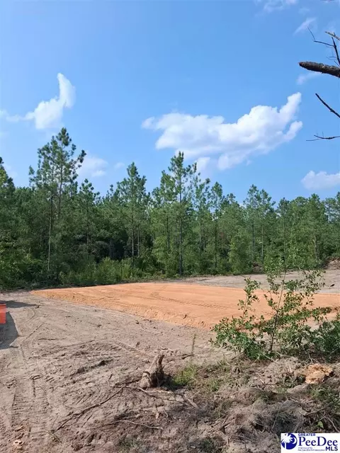 4067 Step Rd, Wallace, SC 29596 photo 16