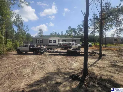 4067 Step Rd, Wallace, SC 29596 photo 17