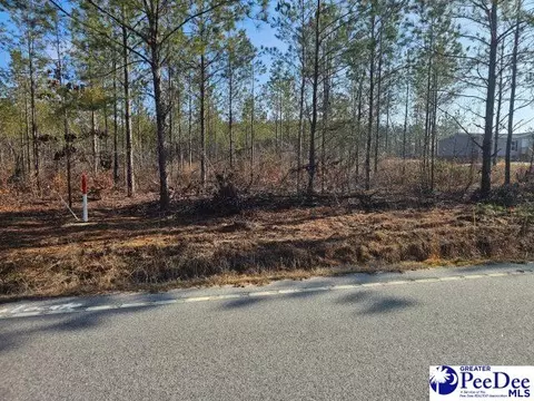 4067 Step Rd, Wallace, SC 29596 photo 2