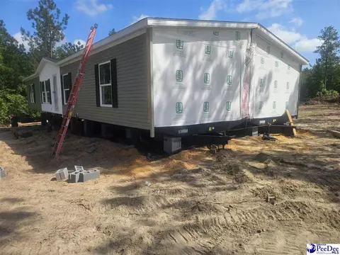4067 Step Rd, Wallace, SC 29596 photo 3