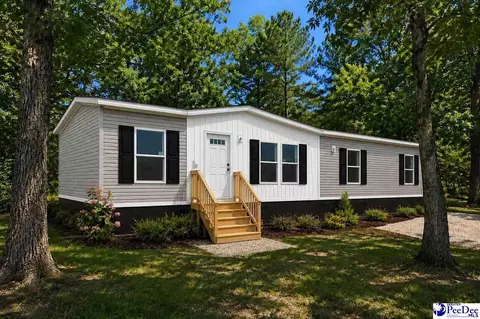 4067 Step Rd, Wallace, SC 29596