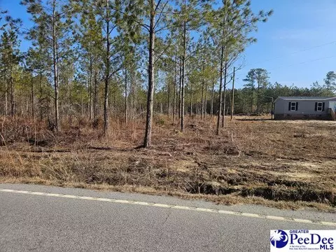 4067 Step Rd, Wallace, SC 29596 photo 3