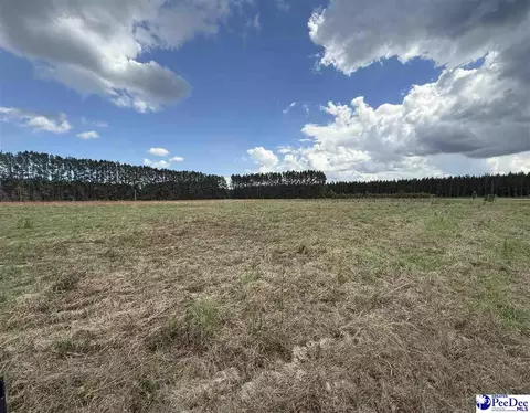 New Farm Rd, Hemingway, SC 29554