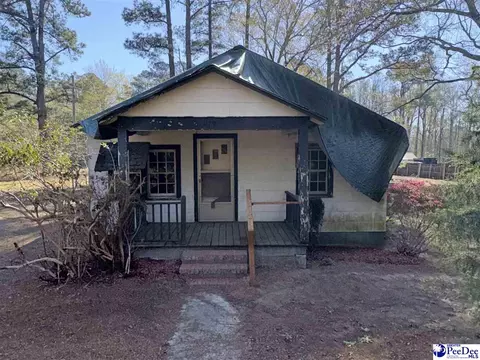 619 Cc Chapman Rd, Cheraw, SC 29520