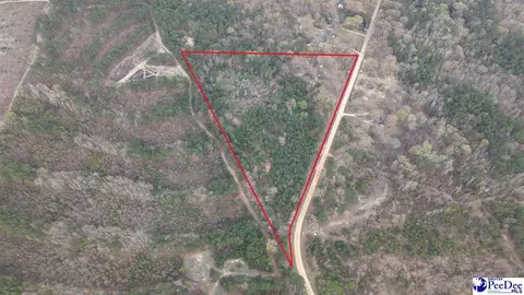 1161 Clyde School Rd, Hartsville, SC 29550