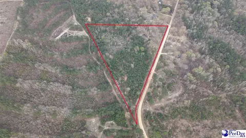1161 Clyde School Rd, Hartsville, SC 29550