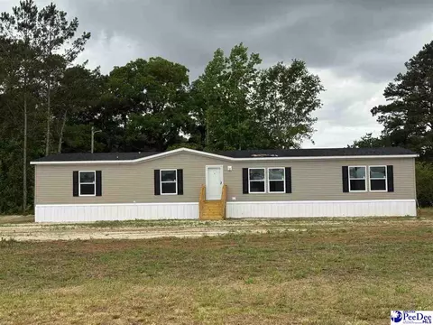 1006 Gause Canal Rd, Coward, SC 29530