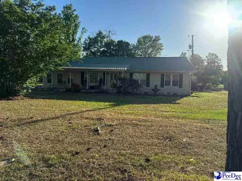 222 Hicks Rd, Coward, SC 29530