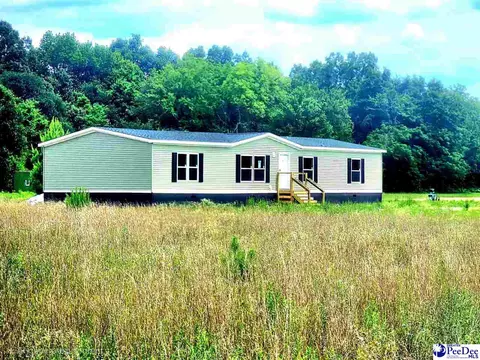 3722 Step Rd, Wallace, SC 29596