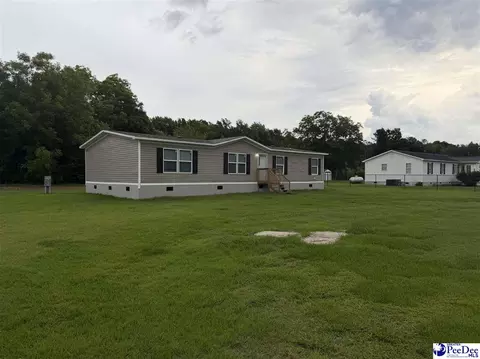 1110 Gwen Dr, Hamer, SC 29547