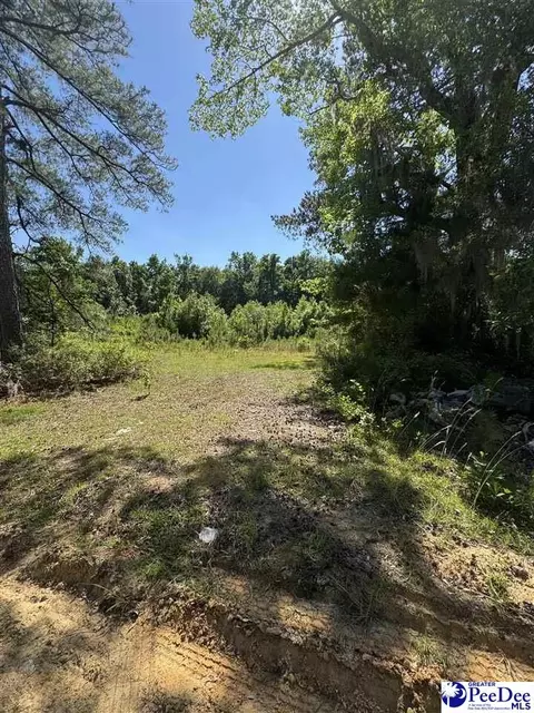 tbd Lum Vereen Rd, Nichols, SC 29581