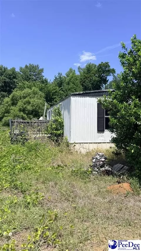 Tba Dillon, Dillon, SC 29536 photo 3