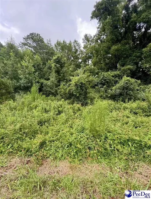 tbd Highway 301, Sellers, SC 29592