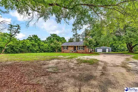 321 Mineral Springs Rd, Darlington, SC 29532