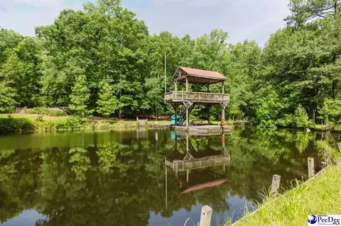 View/Area - 3218 Santee River Dr, Florence, SC 29501 photo 1 of 5