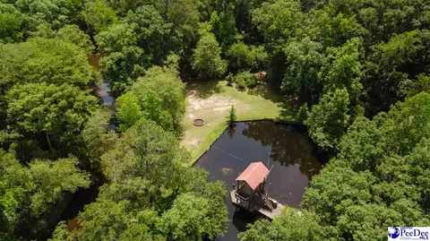 View/Area - 3218 Santee River Dr, Florence, SC 29501 photo 3 of 5