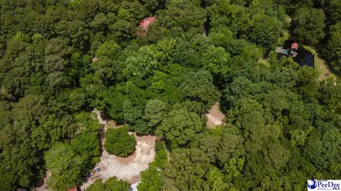 View/Area - 3218 Santee River Dr, Florence, SC 29501 photo 5 of 5