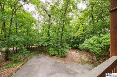 Exterior - 3218 Santee River Dr, Florence, SC 29501 photo 9 of 13