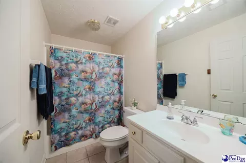 Bath - 3218 Santee River Dr, Florence, SC 29501 photo 3 of 4