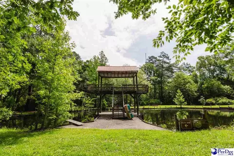 Other - 3218 Santee River Dr, Florence, SC 29501 photo 20 of 20