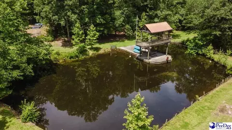 View/Area - 3218 Santee River Dr, Florence, SC 29501 photo 2 of 5