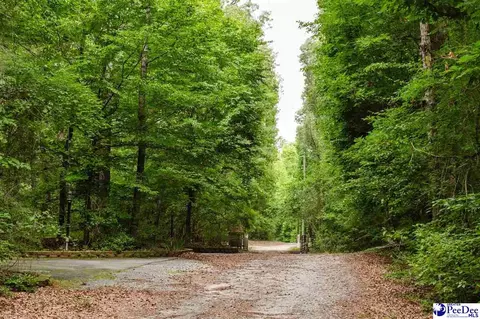 Other - 3218 Santee River Dr, Florence, SC 29501 photo 3 of 20