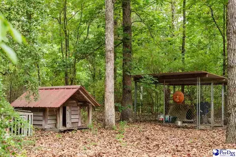 Exterior - 3218 Santee River Dr, Florence, SC 29501 photo 7 of 13