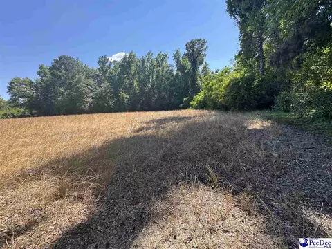 tbd Lum Vereen Rd, Nichols, SC 29581