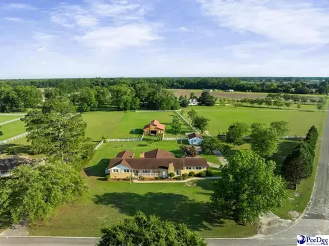 3649 Indian Branch Rd, Hartsville, SC 29550