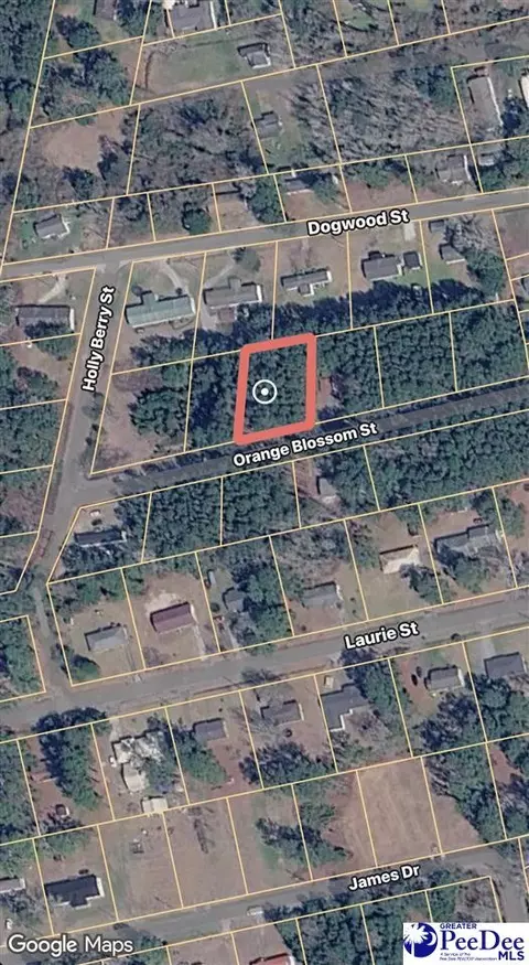 7 Orange Blossom St, Andrews, SC 29510