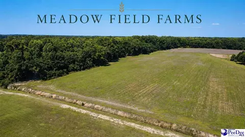 tbd N Bethel Rd, Scranton, SC 29591