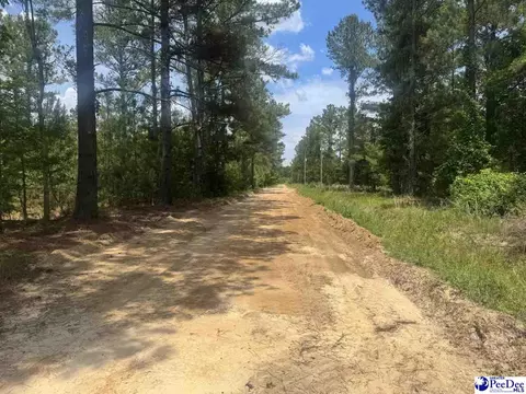 719 12 And 721 Ruth Rd, Coward, SC 29530