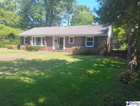 Other - 407 Market St, Cheraw, SC 29520 photo 3 of 7
