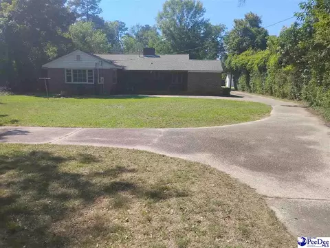 Exterior - 407 Market St, Cheraw, SC 29520 photo 4 of 5