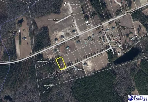304 Lexyryan Ct, Latta, SC 29565