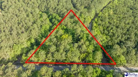 0 Ethridge, Andrews, SC 29510