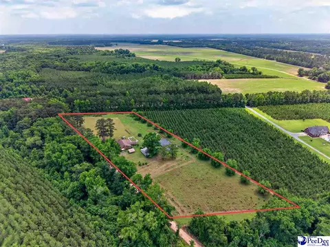 135 Crestview Cir, Timmonsville, SC 29161