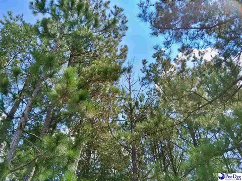 1767 Short Rd, Wallace, SC 29596