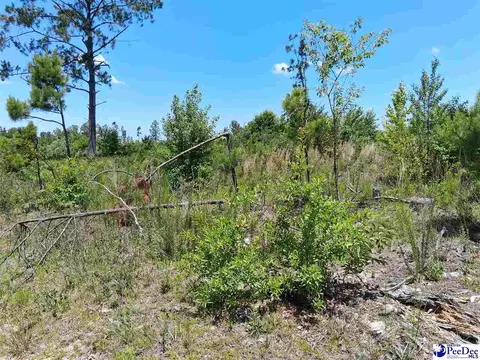 Short Road, Wallace, SC 29596