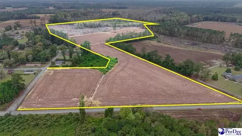 tbd Francis Gibson Rd, Centenary, SC 29519