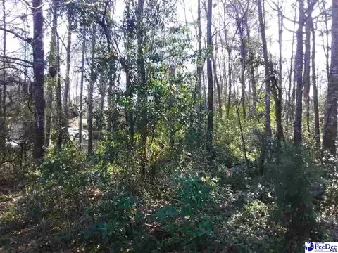 lot19 Ora Ln, Chesterfield, SC 29709