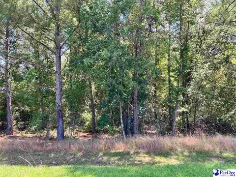 lot19 Ora Ln, Chesterfield, SC 29709
