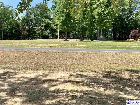 lot19 Ora Ln, Chesterfield, SC 29709