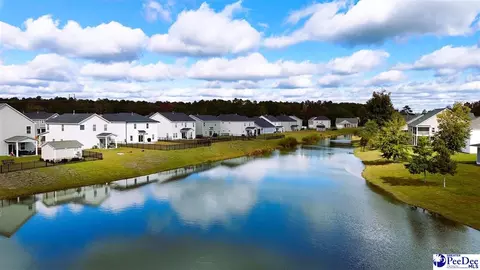 1188 Summer Duck Loop, Florence, SC 29501 photo 40