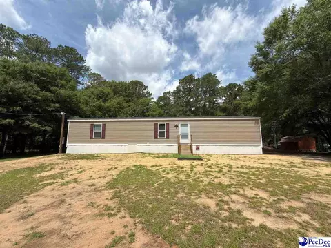 1211 Cooper Ln, Summerton, SC 29148