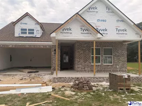 2329 W Billy Farrow Hwy, Hartsville, SC 29550