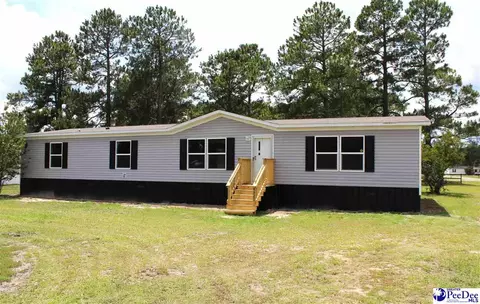 4521 N Hwy 501, Marion, SC 29571
