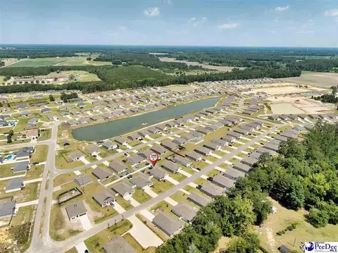 View/Area - 2066 E Paces Trl, Darlington, SC 29532 photo 1 of 2
