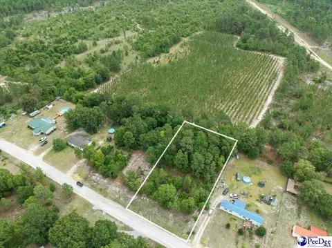 tbd Lot 54 Doe Trl, Dillon, SC 29536